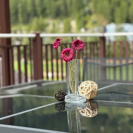 Haus Pia By A Casa * 솔덴